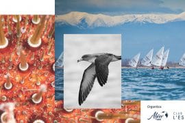 medfoto-concurs-internacional-de-fotografia-de-la-mediterrania